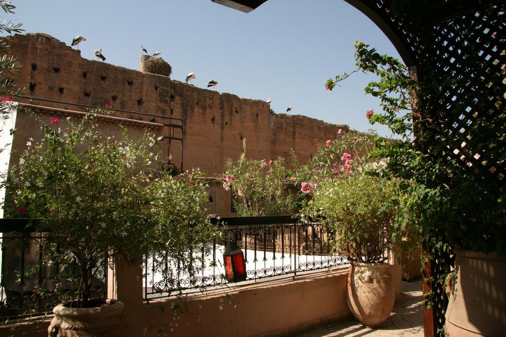 Riad Carina Marrakesh Exteriör bild